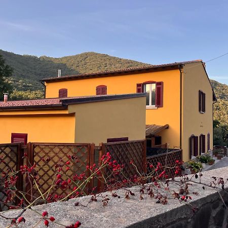 B&B La Fucinaia Pet Friendly Adults Only Campiglia Marittima Bagian luar foto