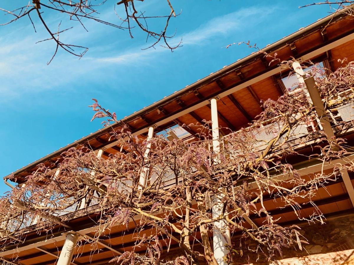 B&B La Fucinaia Pet Friendly Adults Only Campiglia Marittima Bagian luar foto