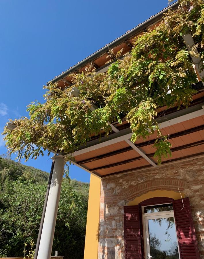 B&B La Fucinaia Pet Friendly Adults Only Campiglia Marittima Bagian luar foto