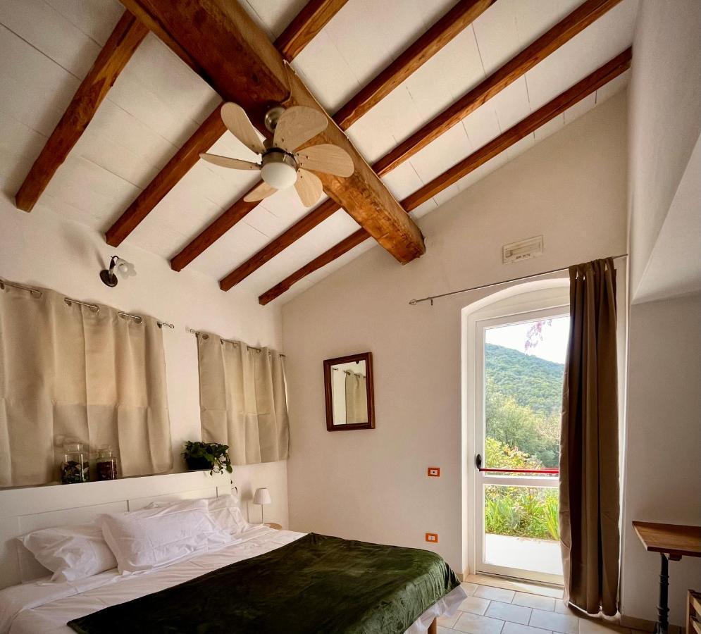 B&B La Fucinaia Pet Friendly Adults Only Campiglia Marittima Bagian luar foto