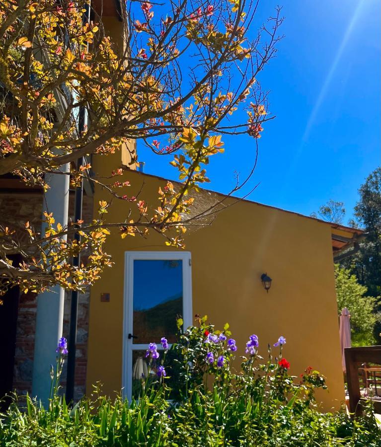 B&B La Fucinaia Pet Friendly Adults Only Campiglia Marittima Bagian luar foto