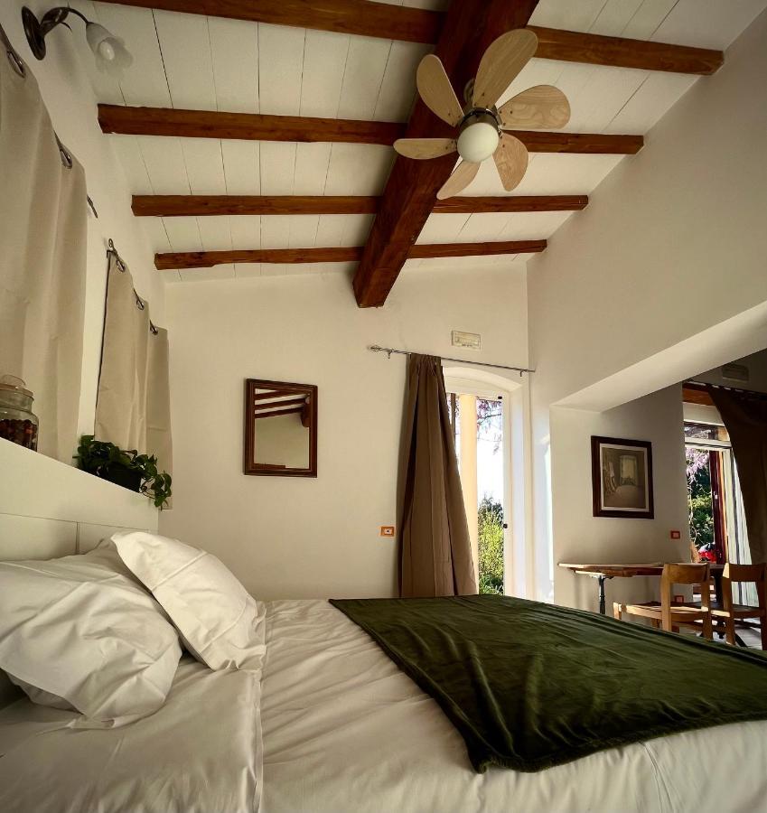 B&B La Fucinaia Pet Friendly Adults Only Campiglia Marittima Bagian luar foto