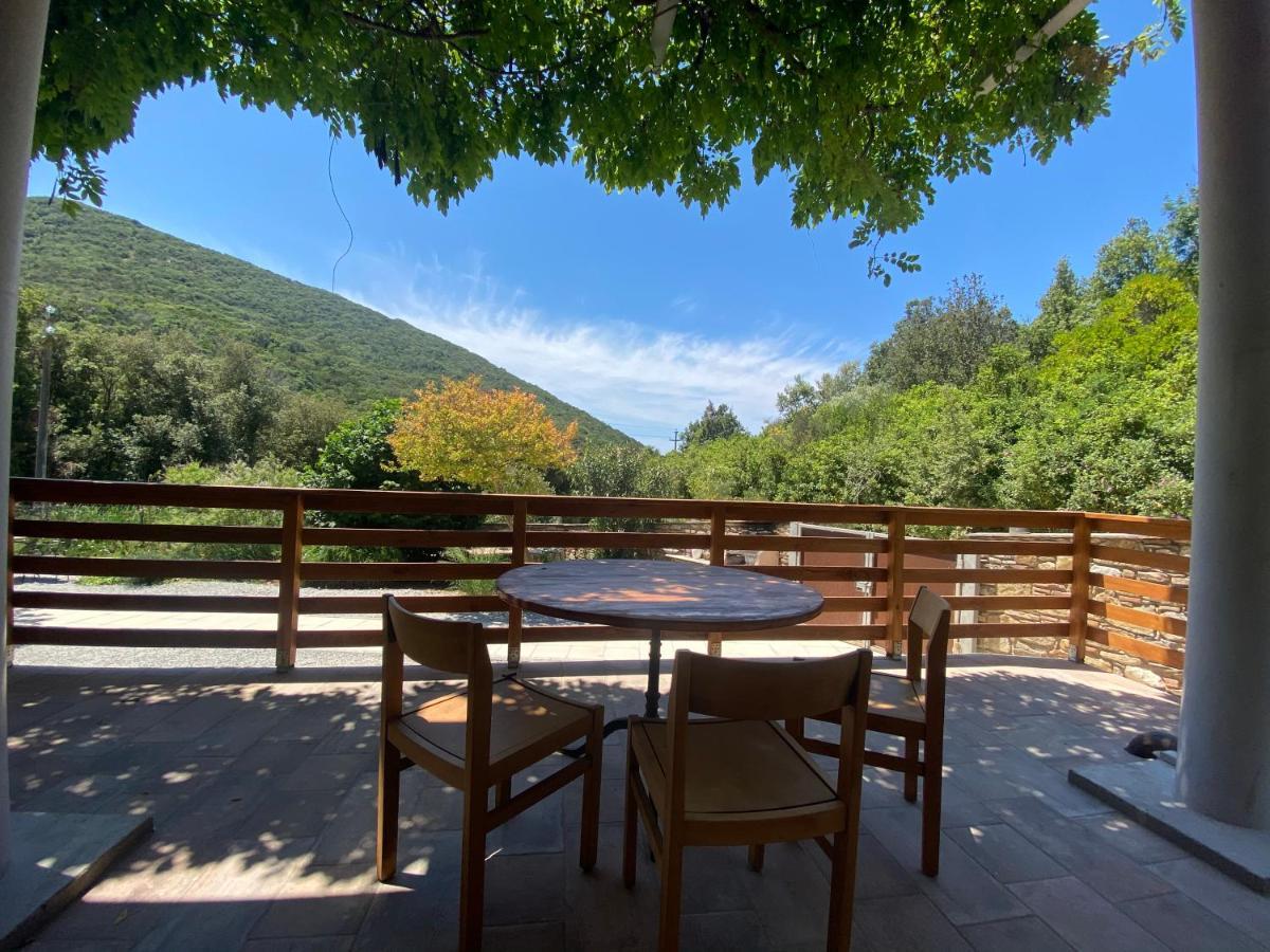 B&B La Fucinaia Pet Friendly Adults Only Campiglia Marittima Bagian luar foto