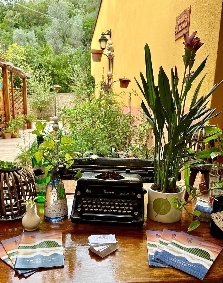 B&B La Fucinaia Pet Friendly Adults Only Campiglia Marittima Bagian luar foto