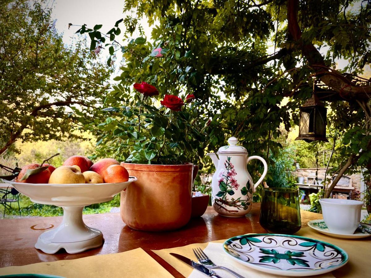 B&B La Fucinaia Pet Friendly Adults Only Campiglia Marittima Bagian luar foto