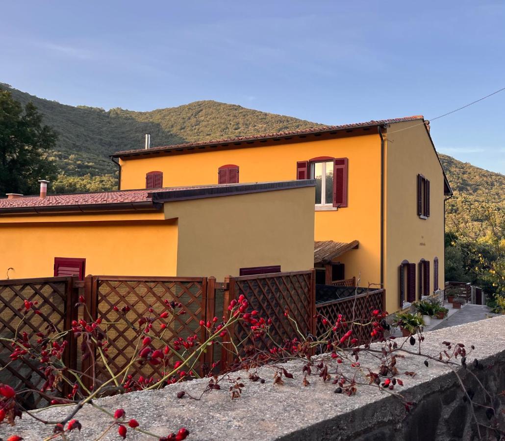 B&B La Fucinaia Pet Friendly Adults Only Campiglia Marittima Bagian luar foto