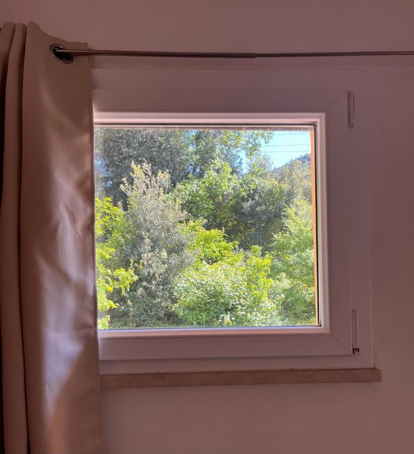 B&B La Fucinaia Pet Friendly Adults Only Campiglia Marittima Bagian luar foto