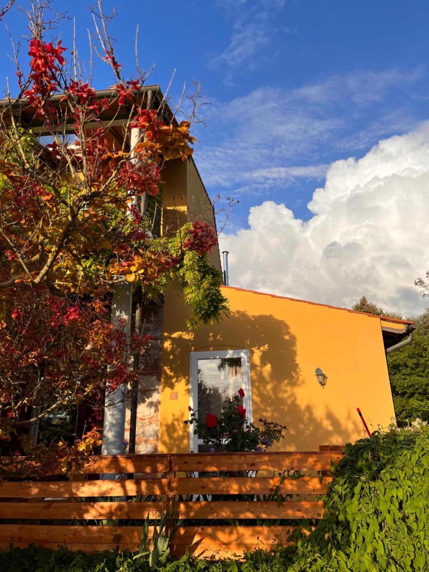 B&B La Fucinaia Pet Friendly Adults Only Campiglia Marittima Bagian luar foto