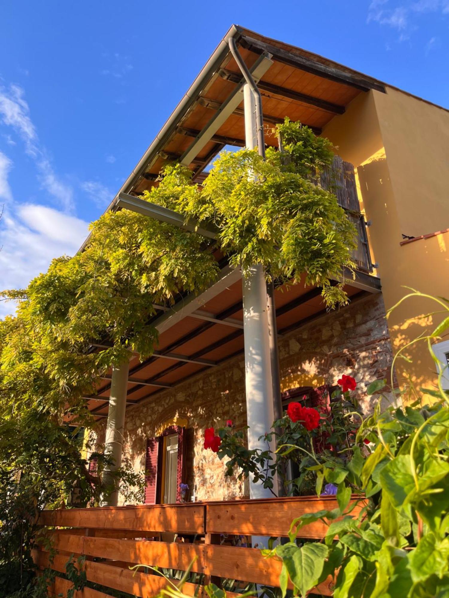 B&B La Fucinaia Pet Friendly Adults Only Campiglia Marittima Bagian luar foto