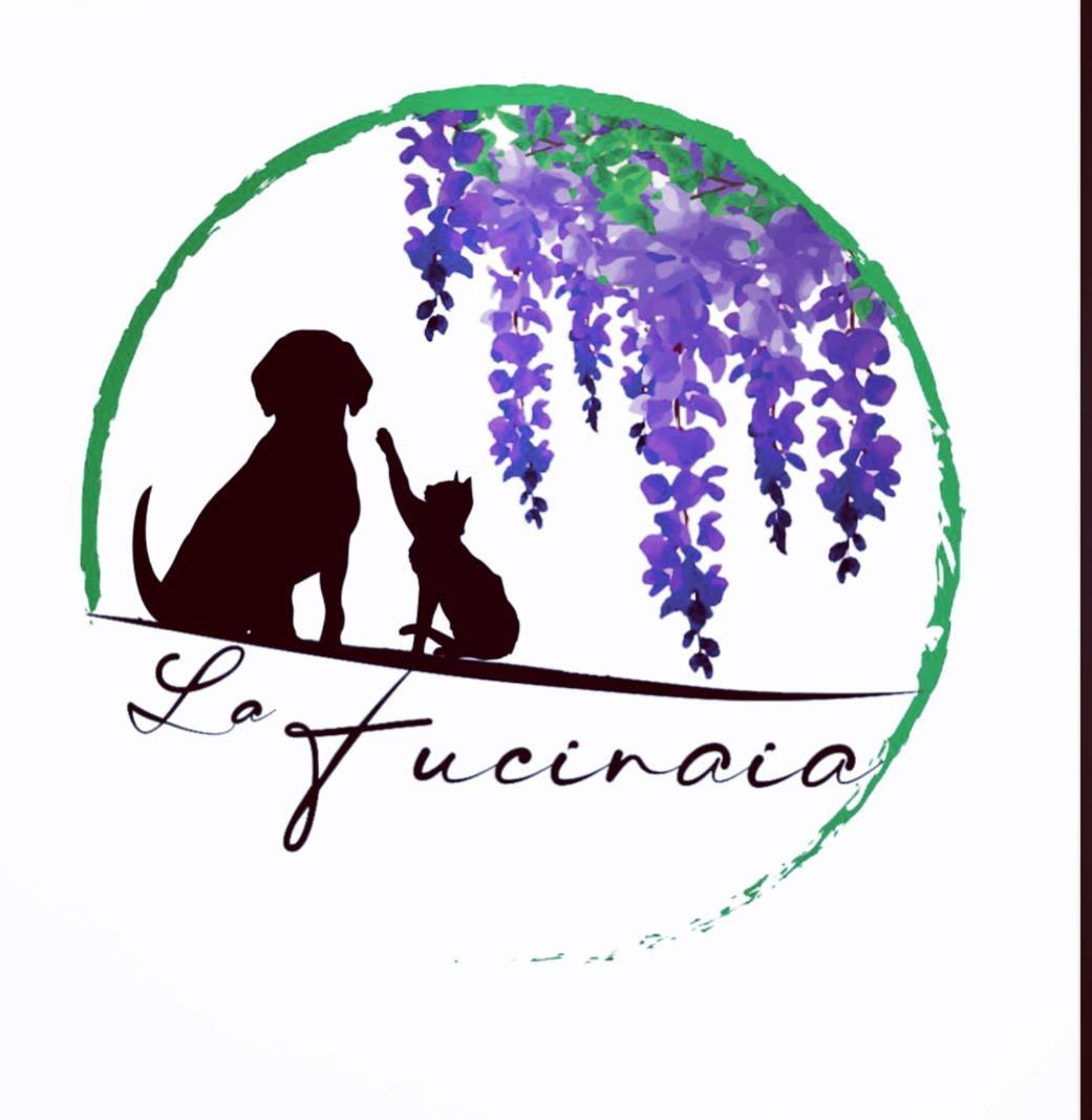 B&B La Fucinaia Pet Friendly Adults Only Campiglia Marittima Bagian luar foto