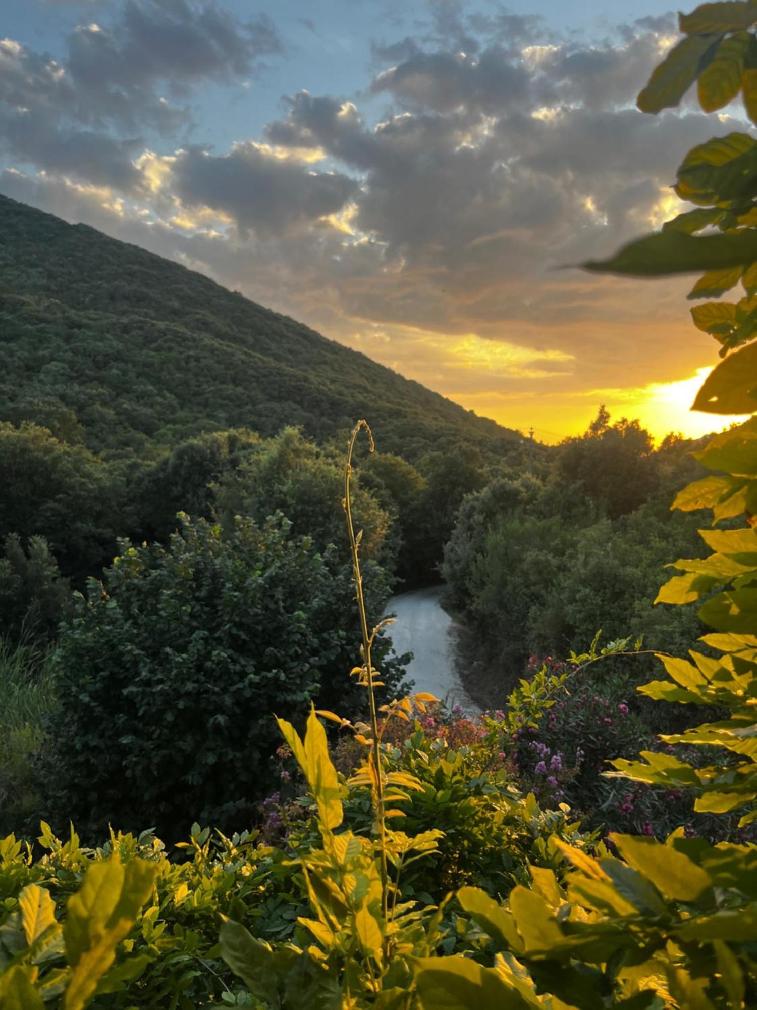 B&B La Fucinaia Pet Friendly Adults Only Campiglia Marittima Bagian luar foto