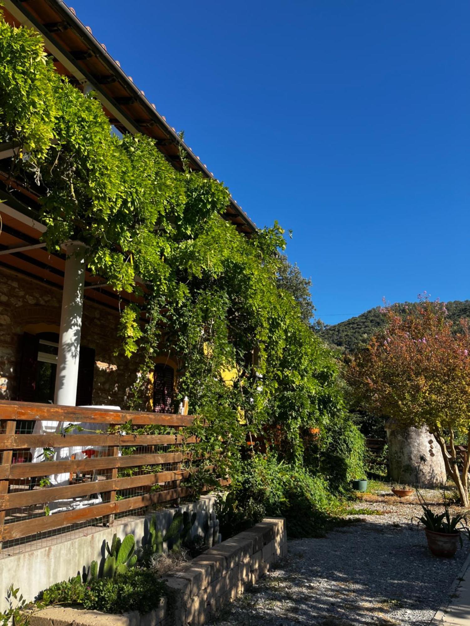 B&B La Fucinaia Pet Friendly Adults Only Campiglia Marittima Bagian luar foto