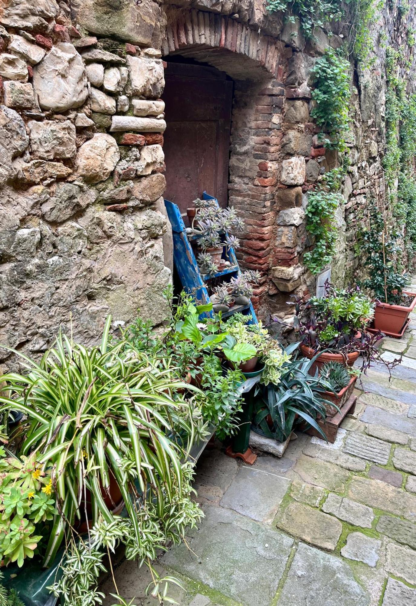 B&B La Fucinaia Pet Friendly Adults Only Campiglia Marittima Bagian luar foto