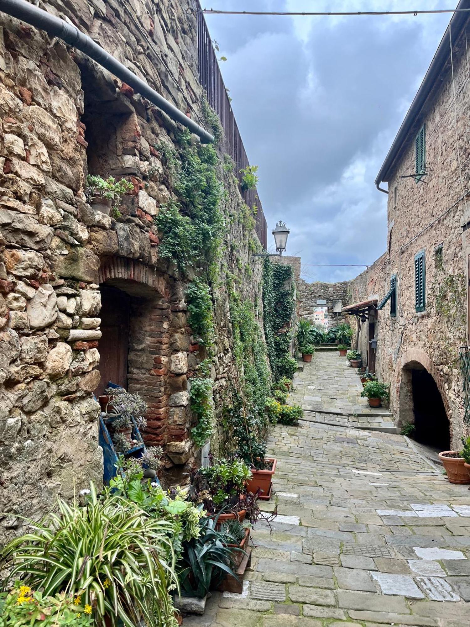 B&B La Fucinaia Pet Friendly Adults Only Campiglia Marittima Bagian luar foto
