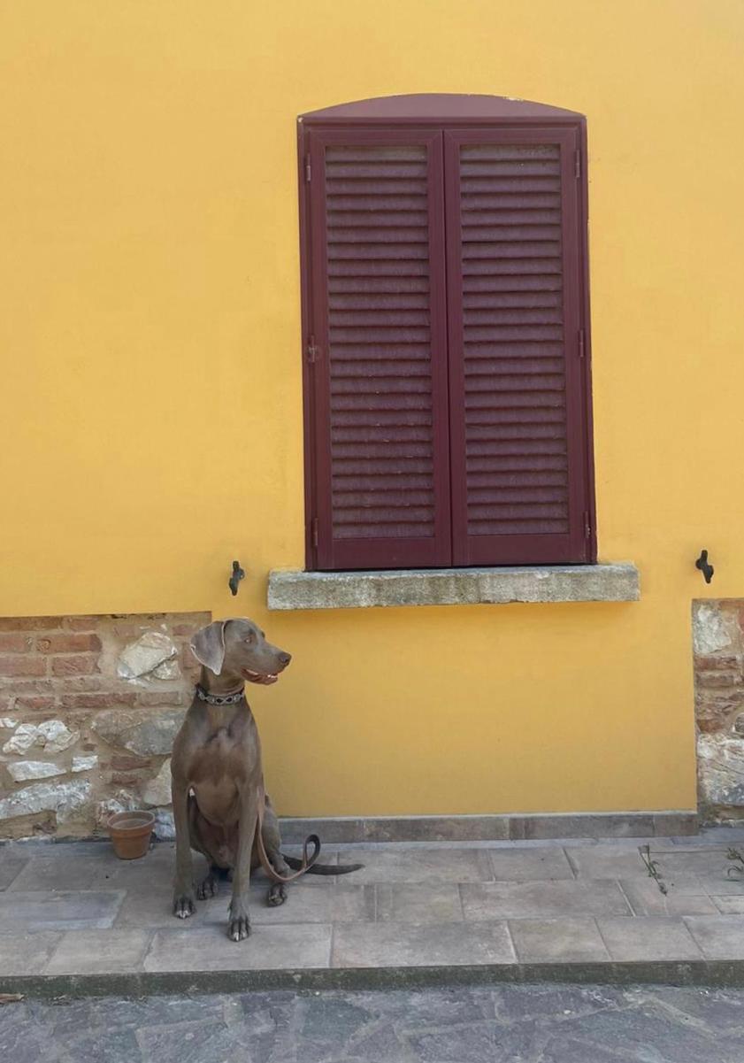 B&B La Fucinaia Pet Friendly Adults Only Campiglia Marittima Bagian luar foto