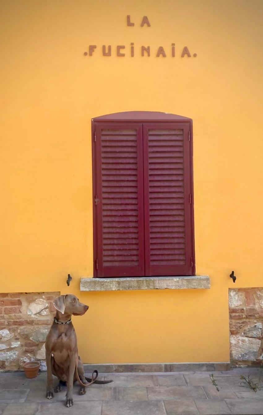 B&B La Fucinaia Pet Friendly Adults Only Campiglia Marittima Bagian luar foto
