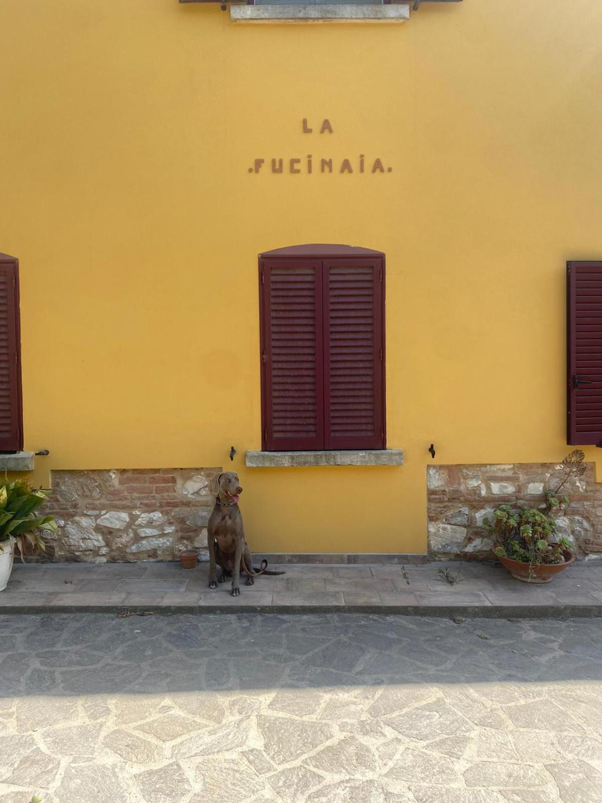 B&B La Fucinaia Pet Friendly Adults Only Campiglia Marittima Bagian luar foto