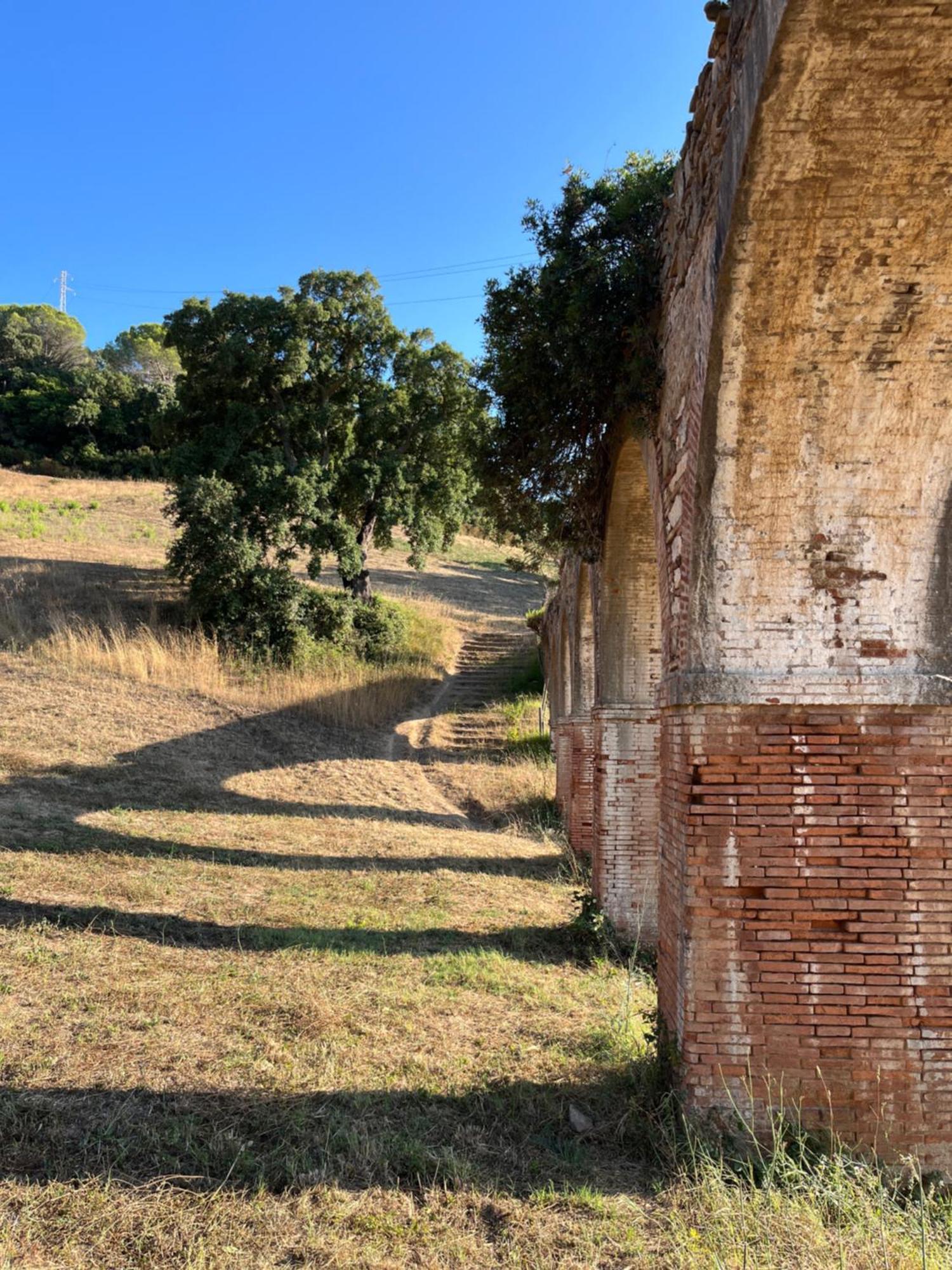 B&B La Fucinaia Pet Friendly Adults Only Campiglia Marittima Bagian luar foto